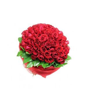 Red Roses Judy Lebanon