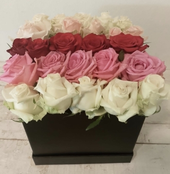 BOX OF ROSES Allcolor Lebanon